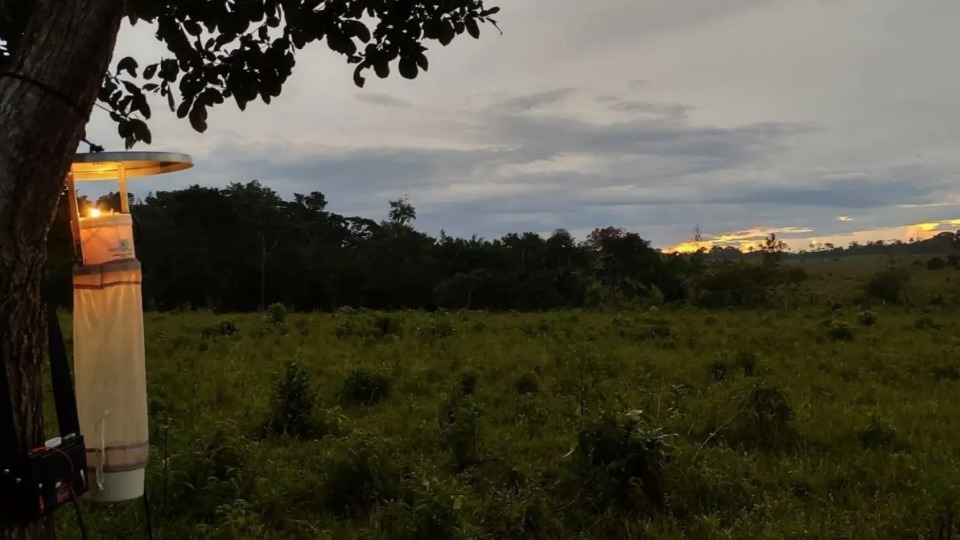 Imagem Últimas Notícias