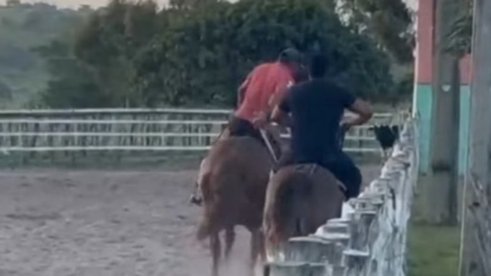 Imagem Últimas Notícias