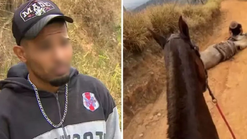 Imagem Últimas Notícias