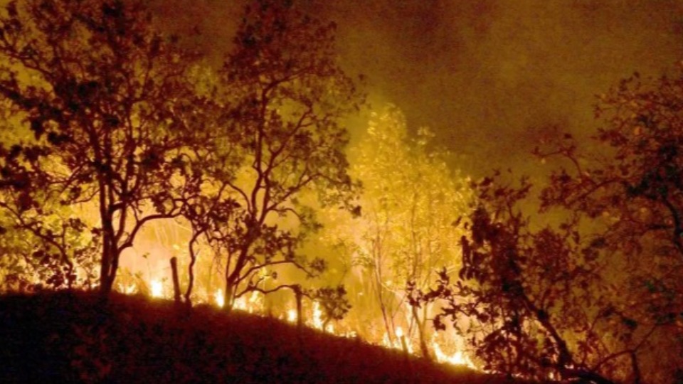 Imagem de Capa