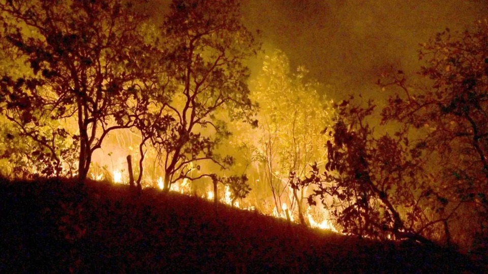 Imagem de Capa