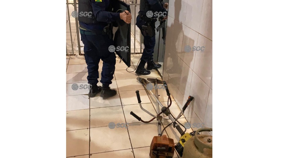 Imagem da Galeria