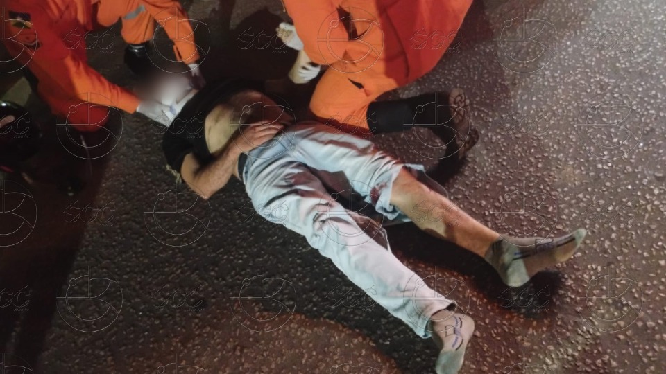 Imagem da Galeria