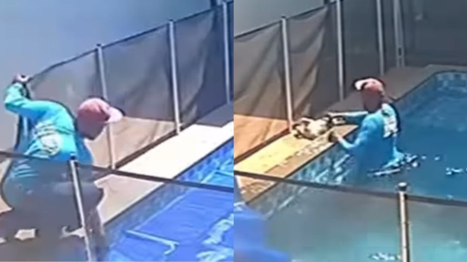 Imagem Últimas Notícias
