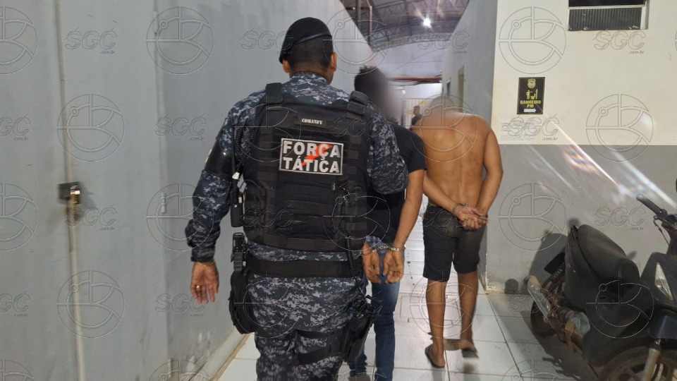 Imagem da Galeria