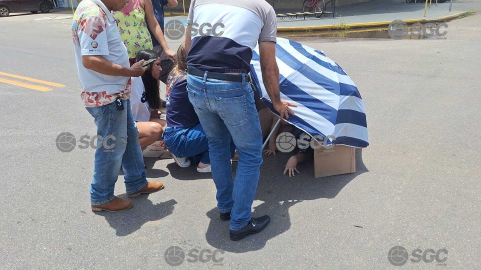 Imagem da Galeria