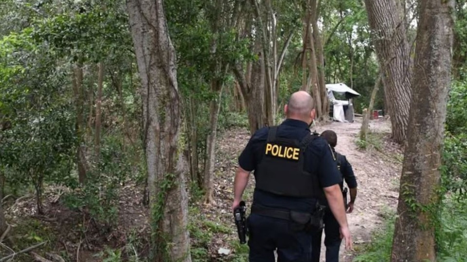 Imagem de Capa