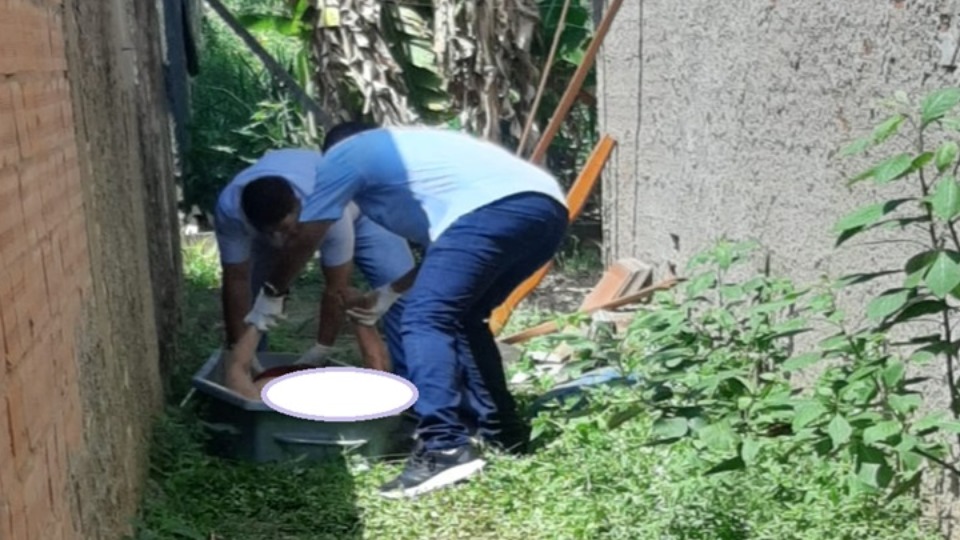 Imagem de Capa