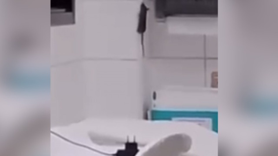 Imagem Últimas Notícias