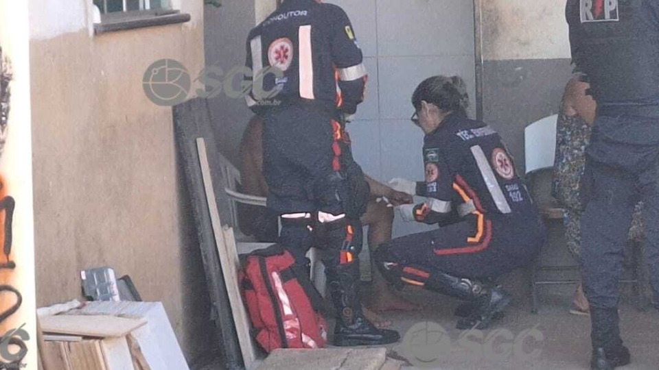 Imagem da Galeria