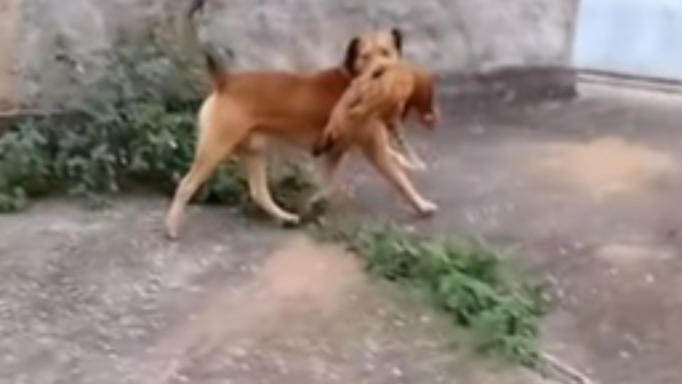 Imagem Últimas Notícias