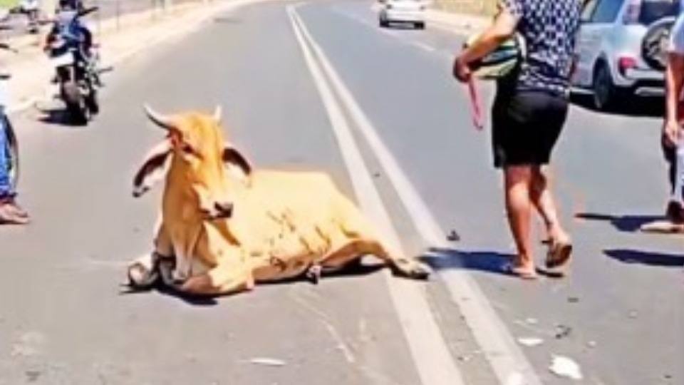 Imagem Últimas Notícias