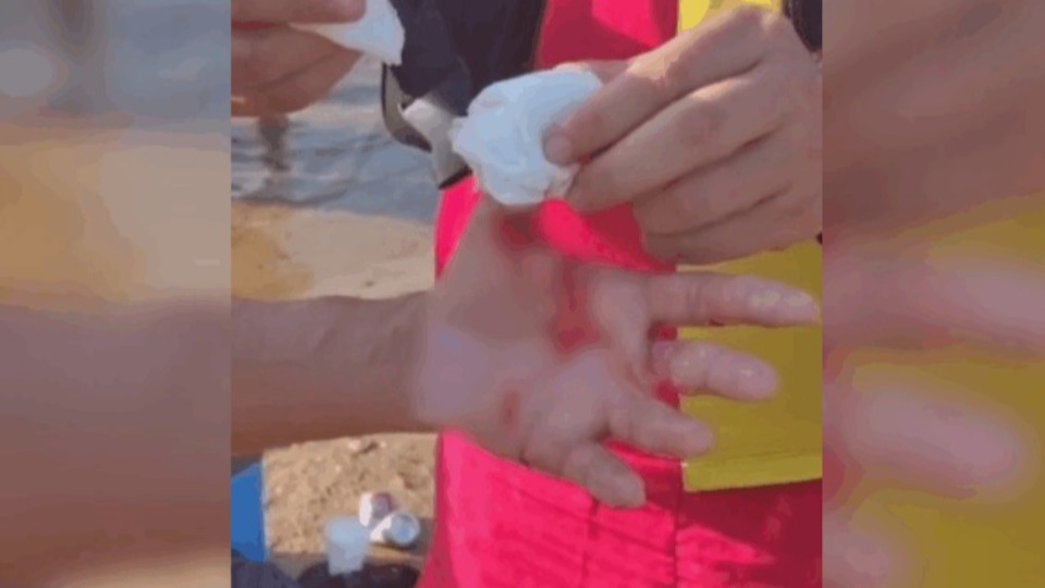 Imagem Últimas Notícias