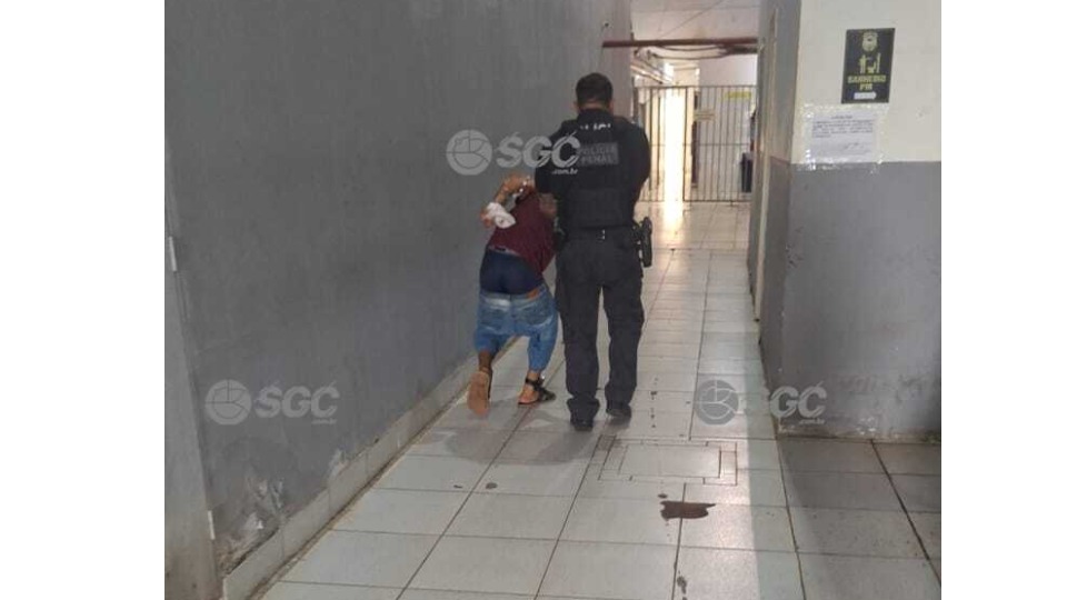 Imagem da Galeria