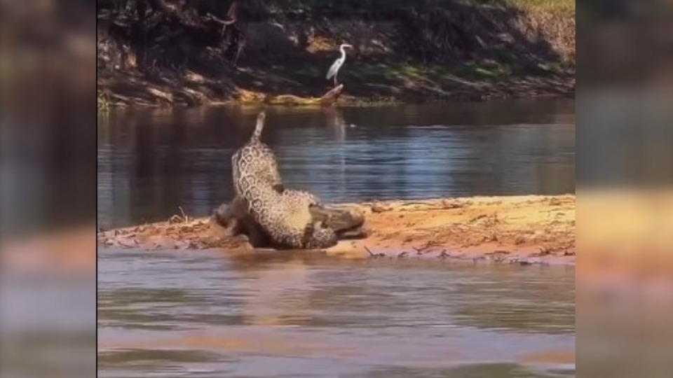 Imagem Últimas Notícias