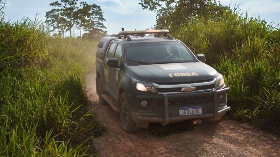 A Força Nacional também se fez presente na ação