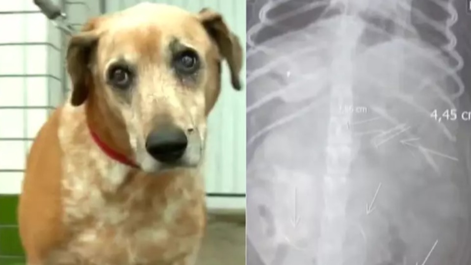 Imagem Últimas Notícias