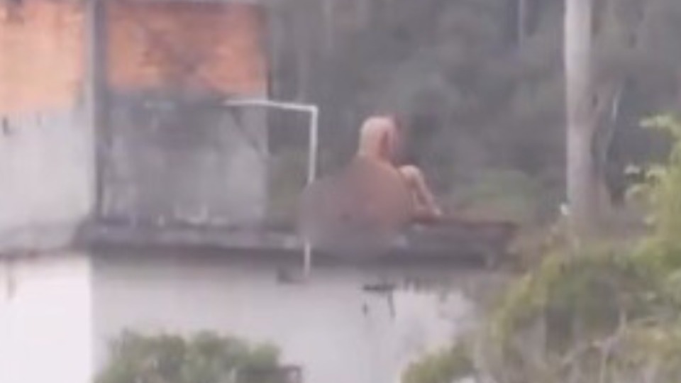 Imagem Últimas Notícias