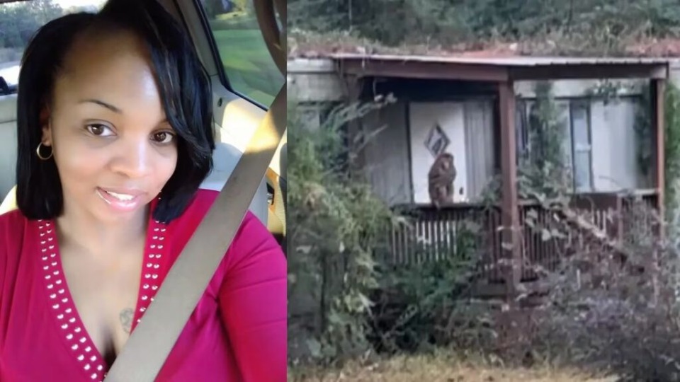 Imagem Últimas Notícias