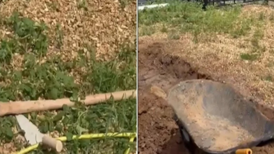 Imagem Últimas Notícias