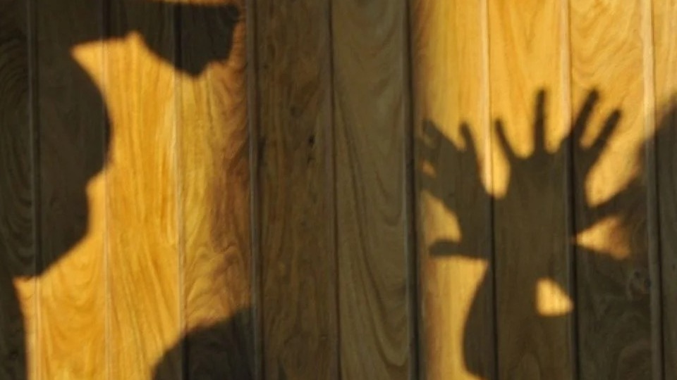 Imagem Últimas Notícias