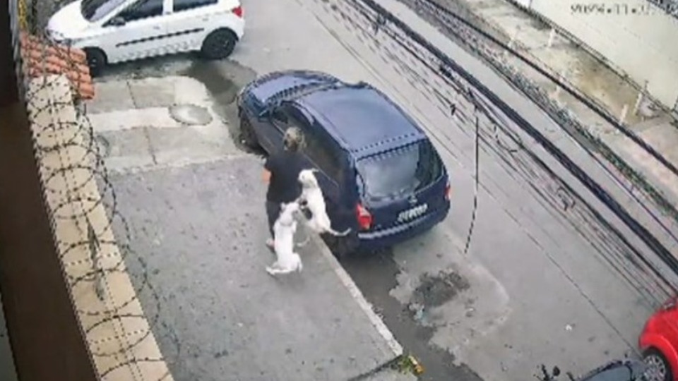 Imagem Últimas Notícias