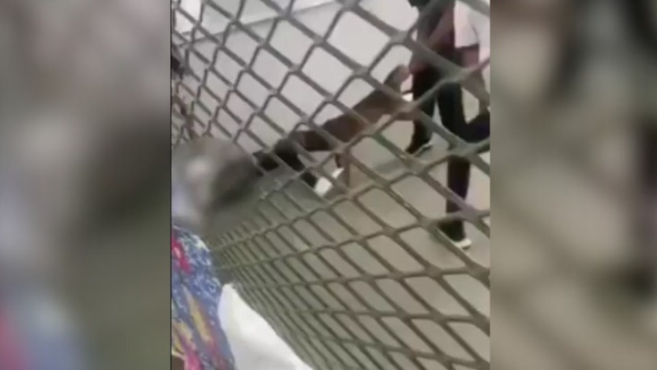 Imagem Últimas Notícias