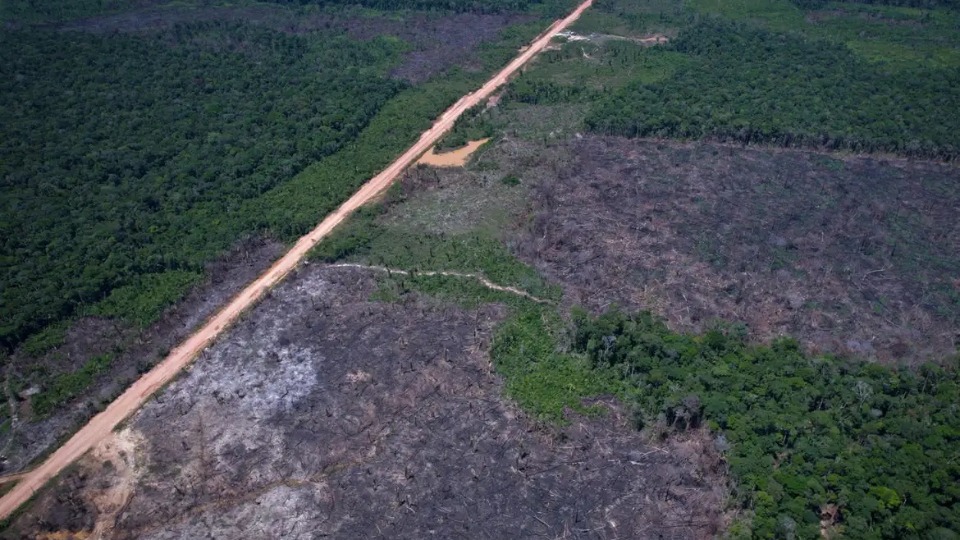 Imagem Últimas Notícias