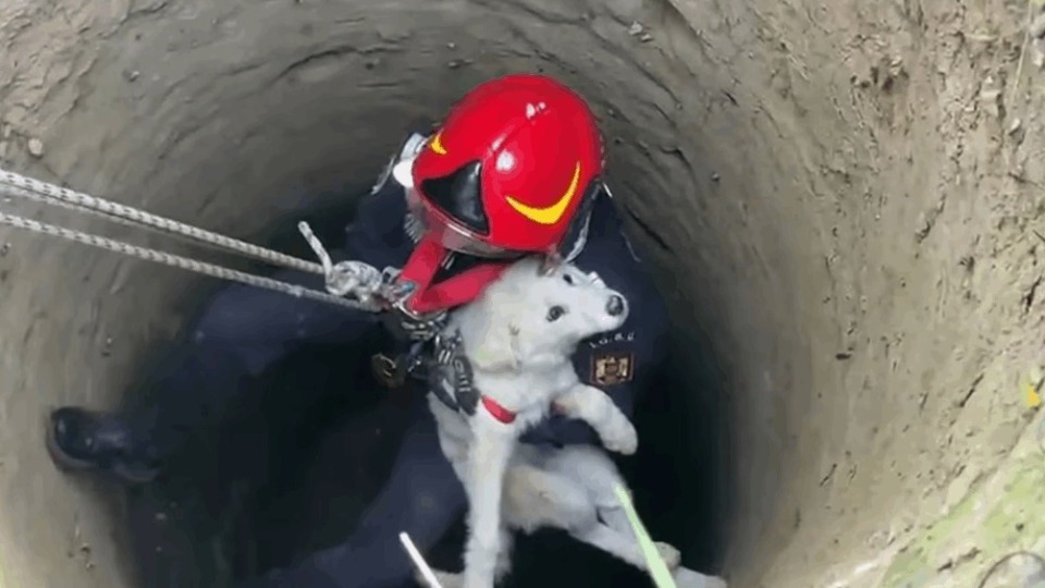 Imagem Últimas Notícias