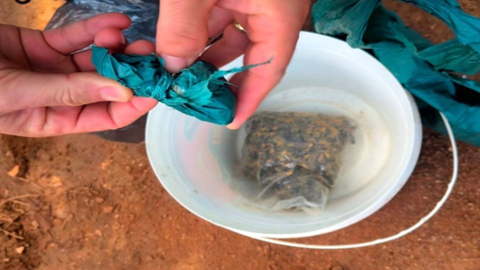 Imagem Últimas Notícias