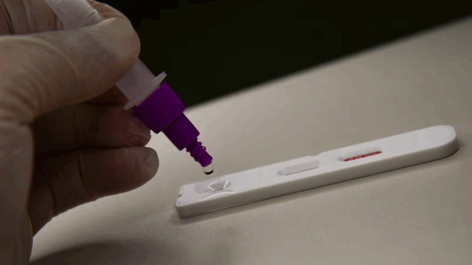 Imagem Últimas Notícias