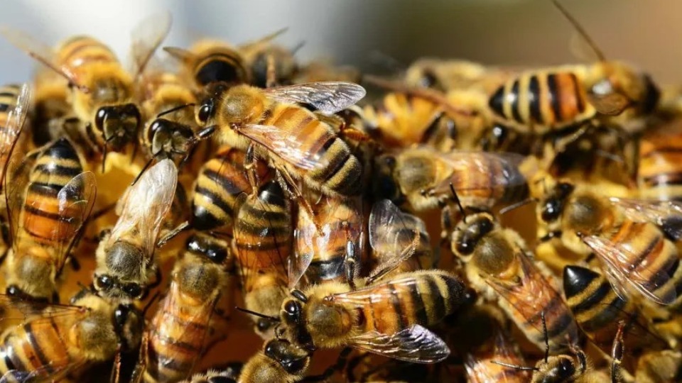 Imagem Últimas Notícias