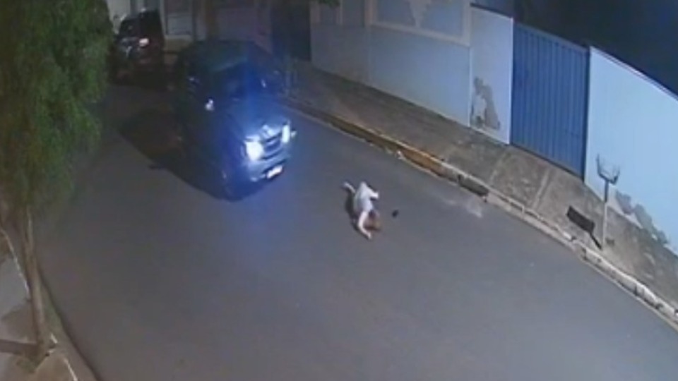 Imagem Últimas Notícias