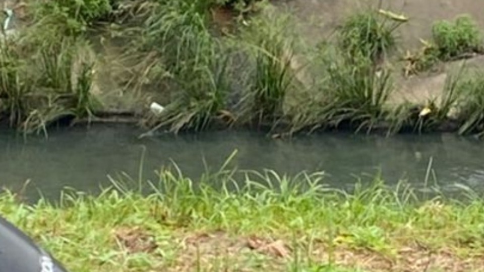 Imagem Últimas Notícias