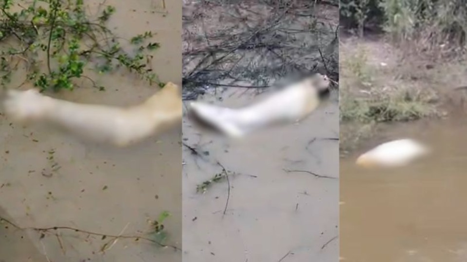 Imagem Últimas Notícias