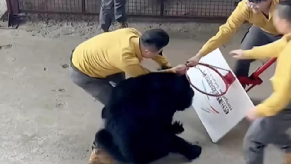 Imagem Últimas Notícias