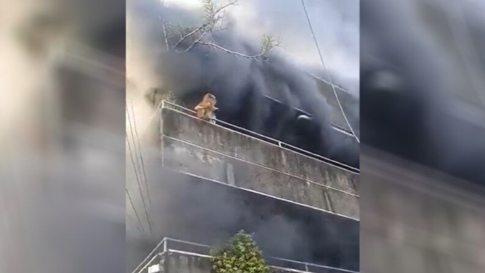 Imagem Últimas Notícias