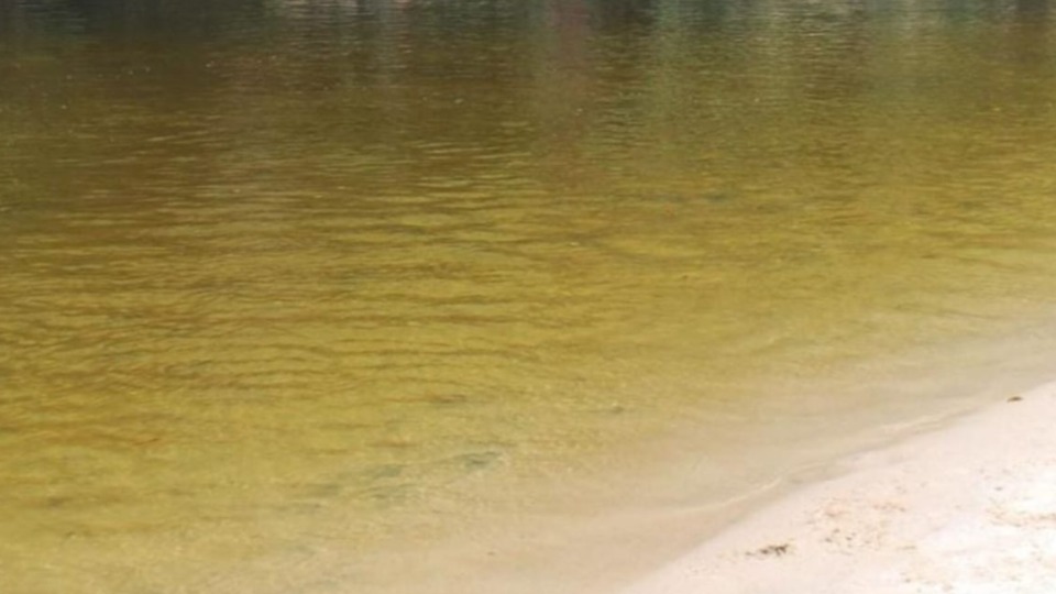 Imagem Últimas Notícias