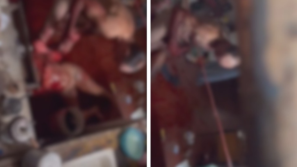 Imagem Últimas Notícias