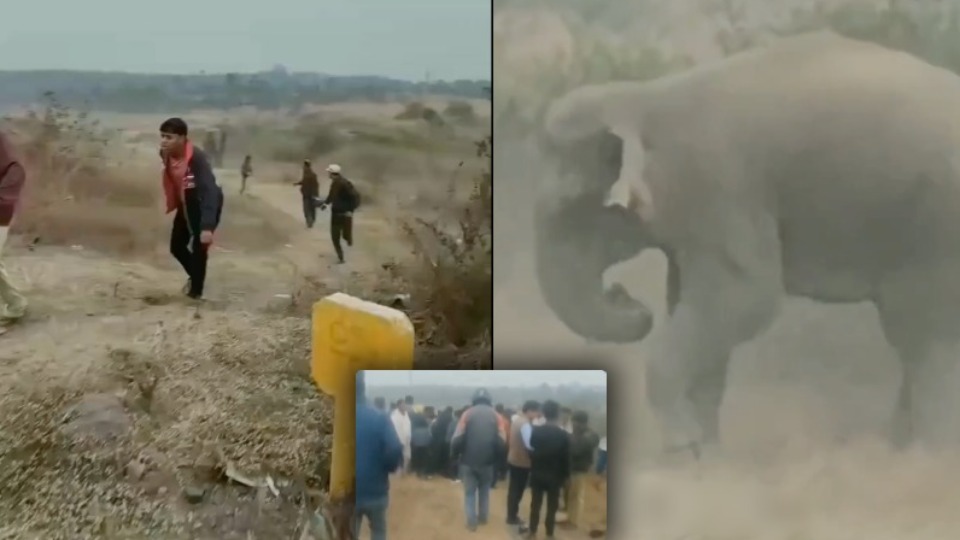 Imagem Últimas Notícias