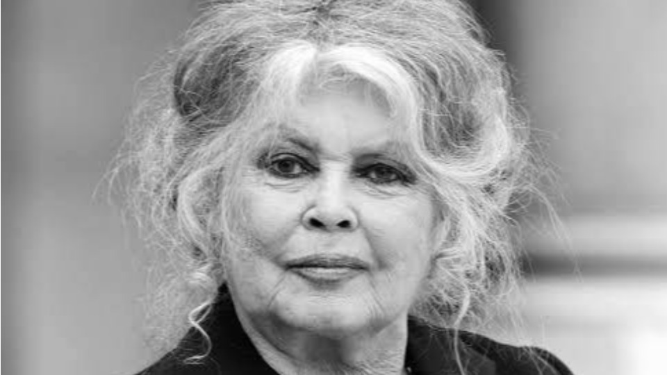 Imagem Últimas Notícias