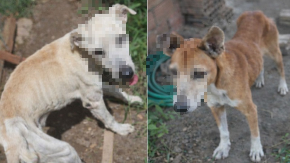 Imagem Últimas Notícias