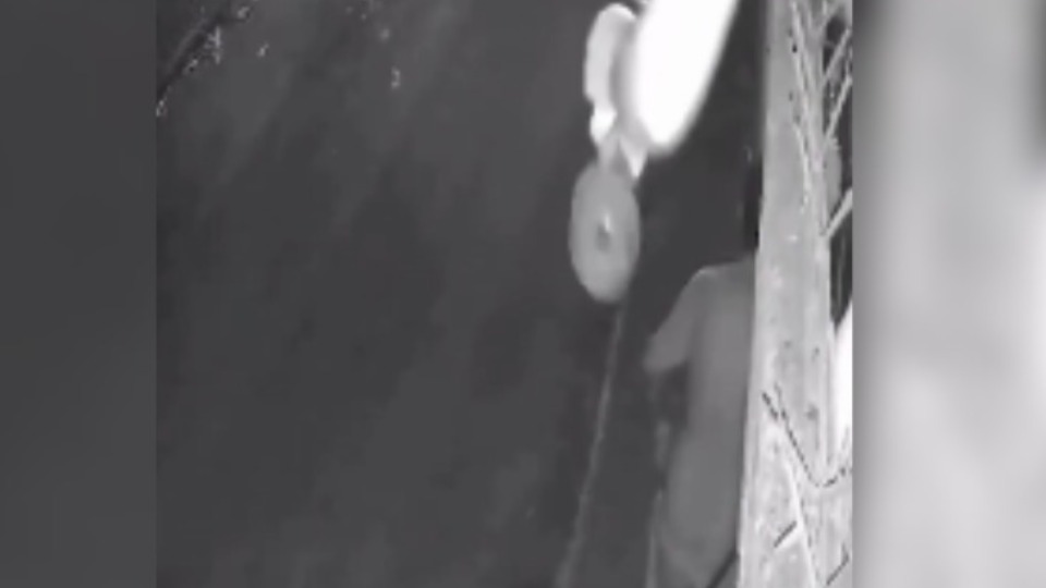 Notícia Relacionada