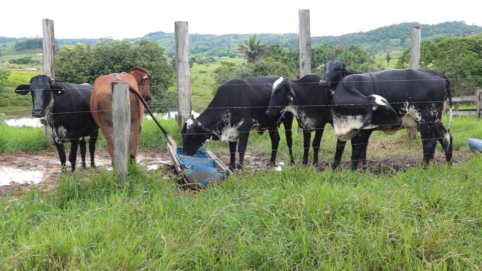 Notícia Relacionada
