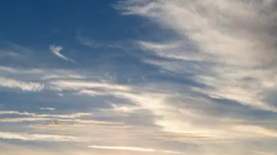 Notícia Relacionada