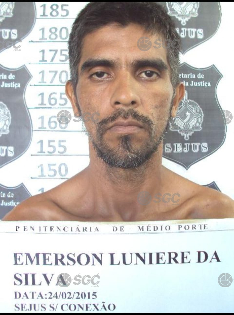 Imagem da Galeria
