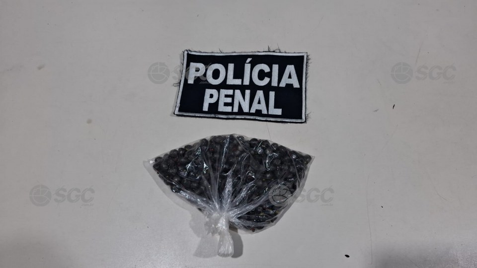 Imagem da Galeria