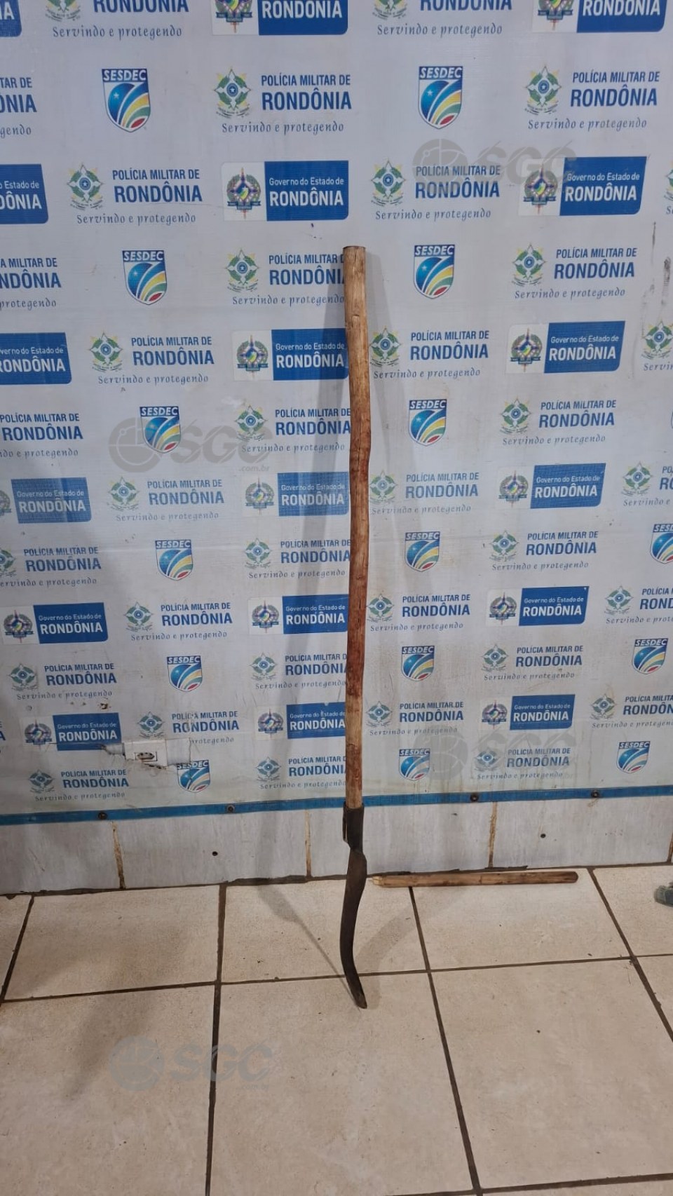 Imagem da Galeria