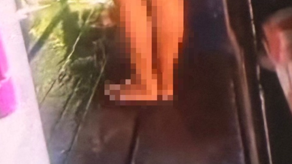 Imagem de Capa