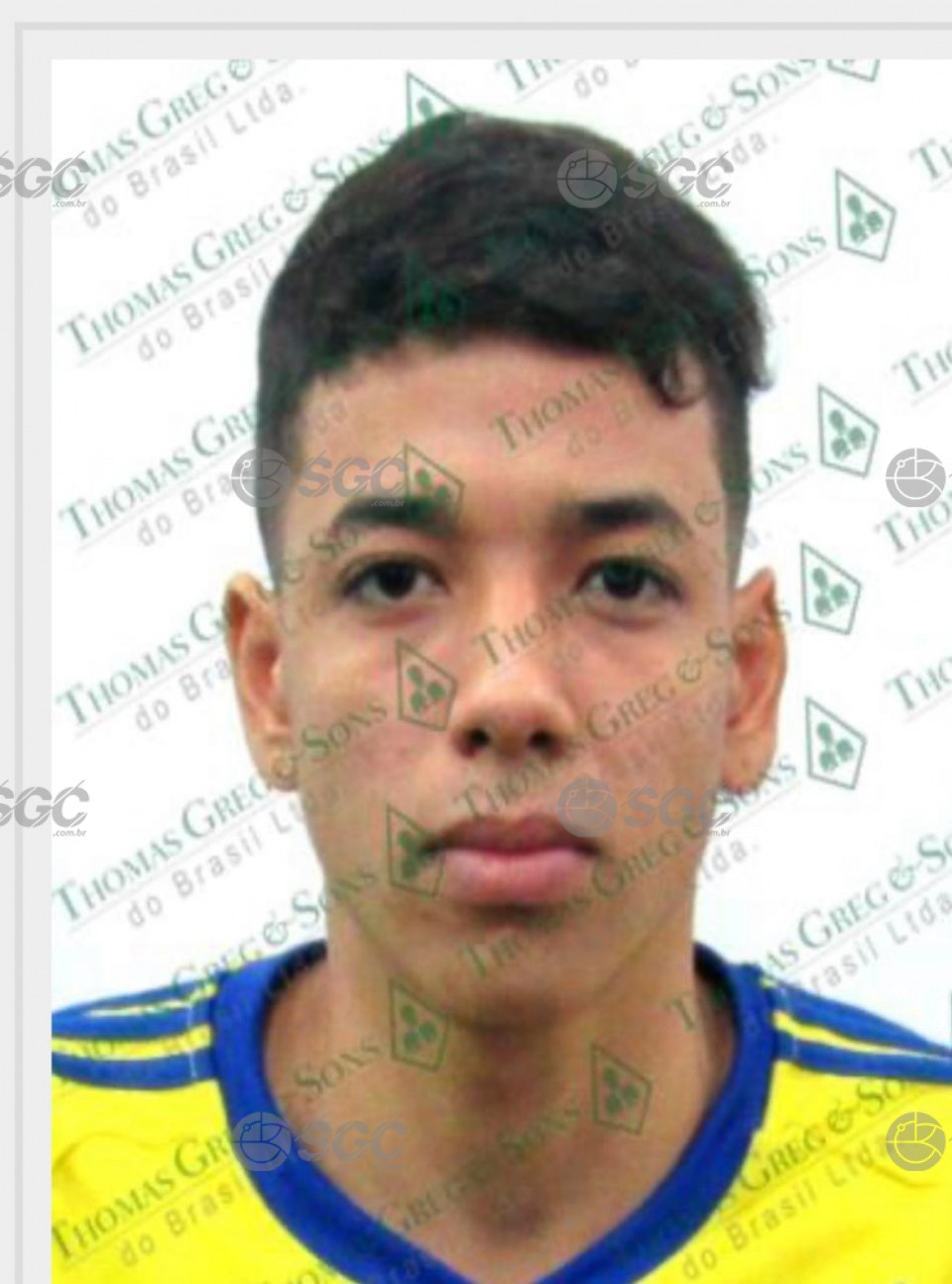 Imagem da Galeria